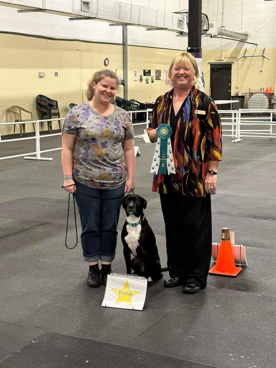 Dog Training Club of St Pete – photo 5