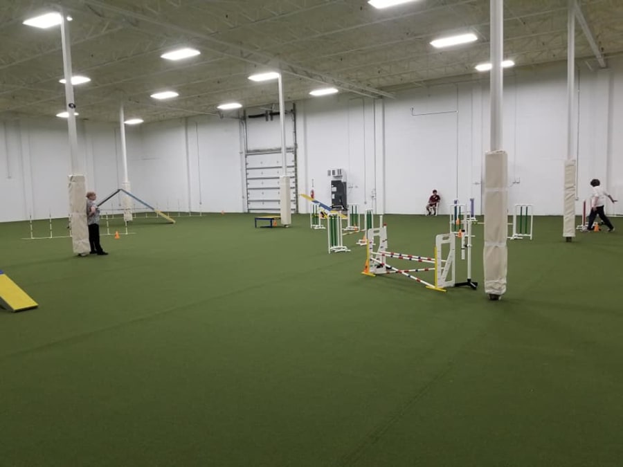 Dog Training Club of St Pete – photo 4