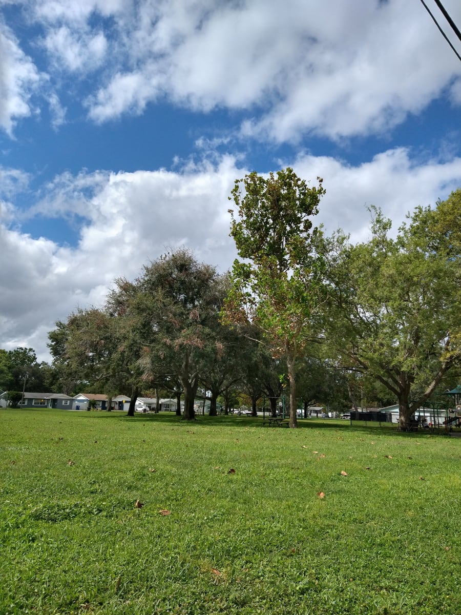 Kiwanis Park – photo 2