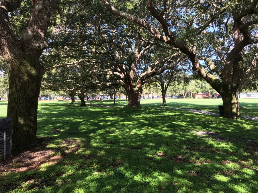 Azalea Park – photo 2