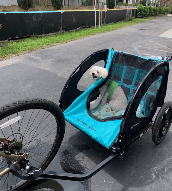 Get Fit St. Pete: City Breeze Bike Tour – photo 4