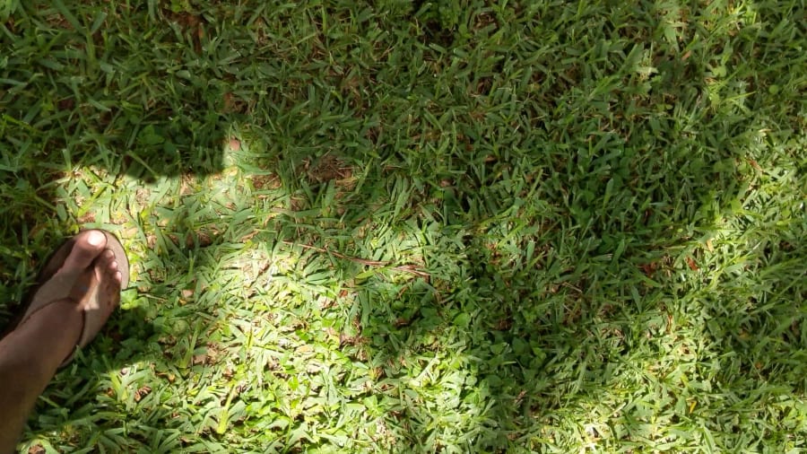 Lassing Park – photo 2