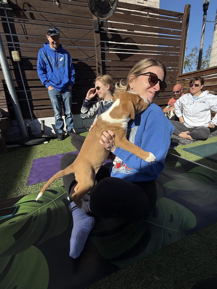 Sit. Stay. Down Dog Yoga – photo 2