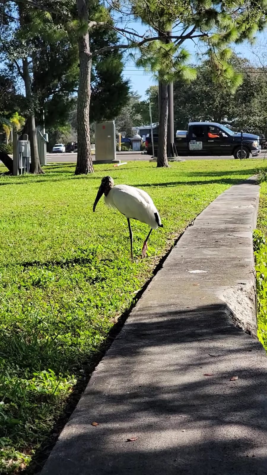 West St. Petersburg Community Library – photo 5