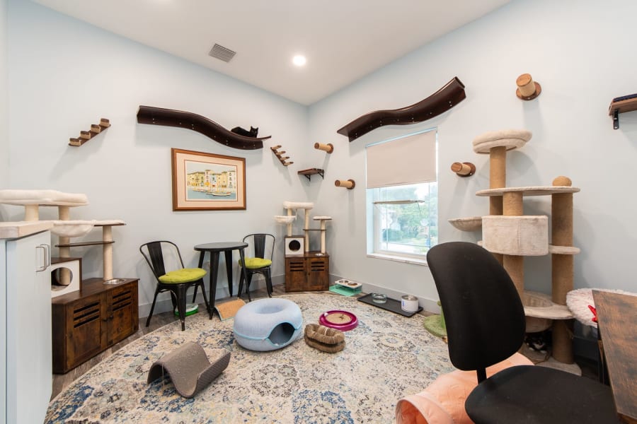 Whiskers Workspace – photo 2