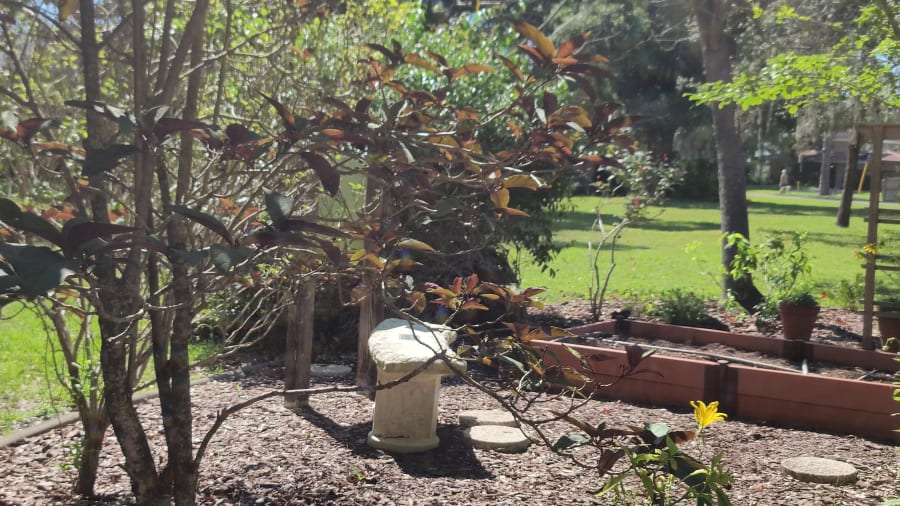 Christmas Recycle Sale by St Pete Garden Club – photo 3