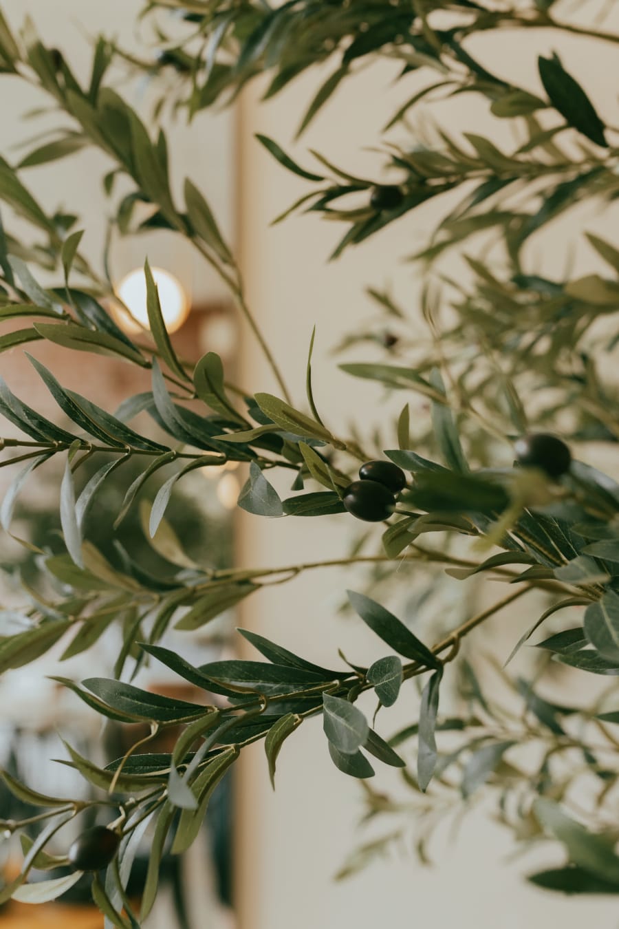 Greater Grounds Coffee & Co – photo 4