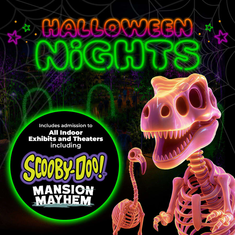 Halloween Nights – photo 3