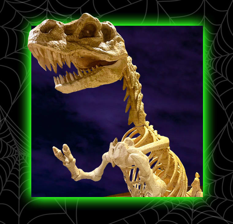Halloween Nights – photo 4