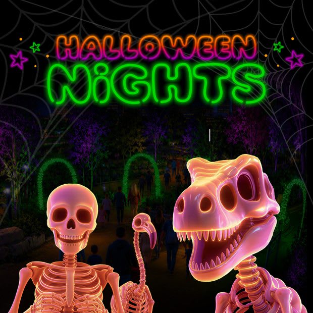 Halloween Nights – photo 1