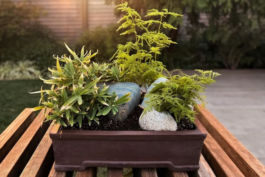 Kokedama: Ancient Japanese Bonsai Art – photo 1