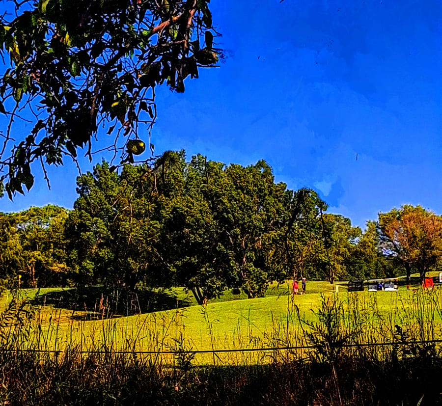 photo