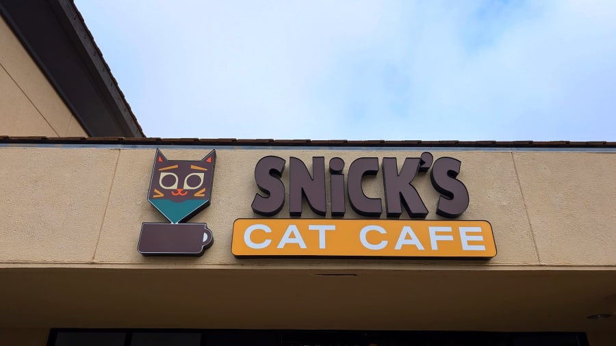 Snick's Cat Cafe – photo 4