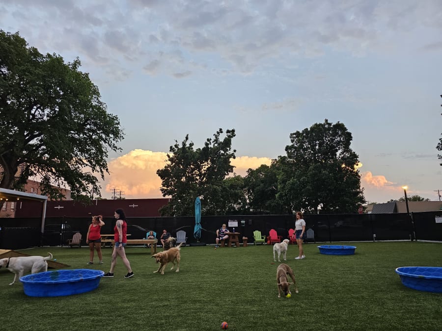 Barks & Brews – photo 4