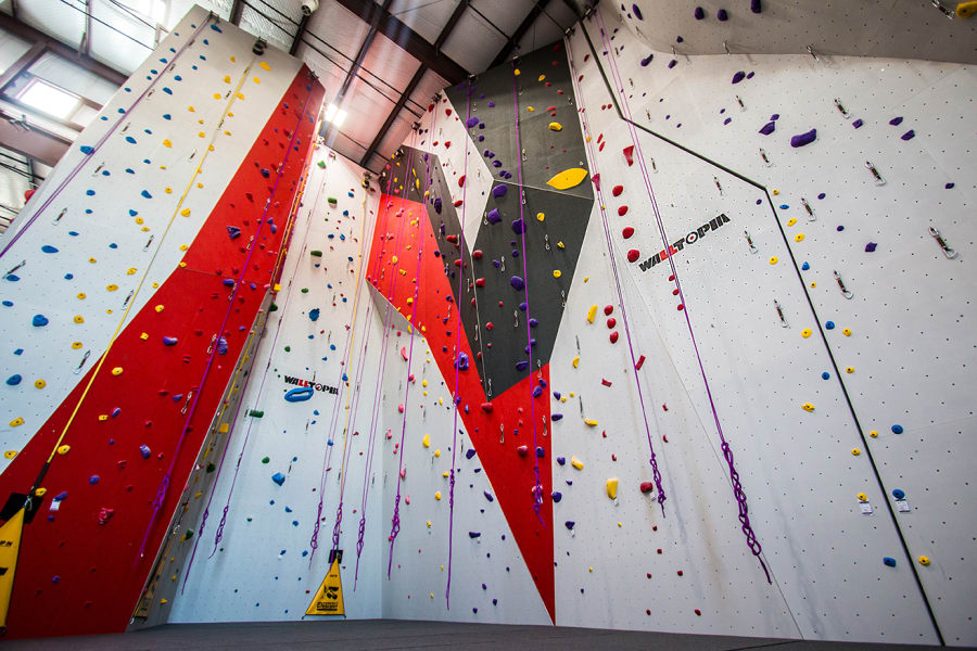 Bliss Climbing and Fitness – photo 3