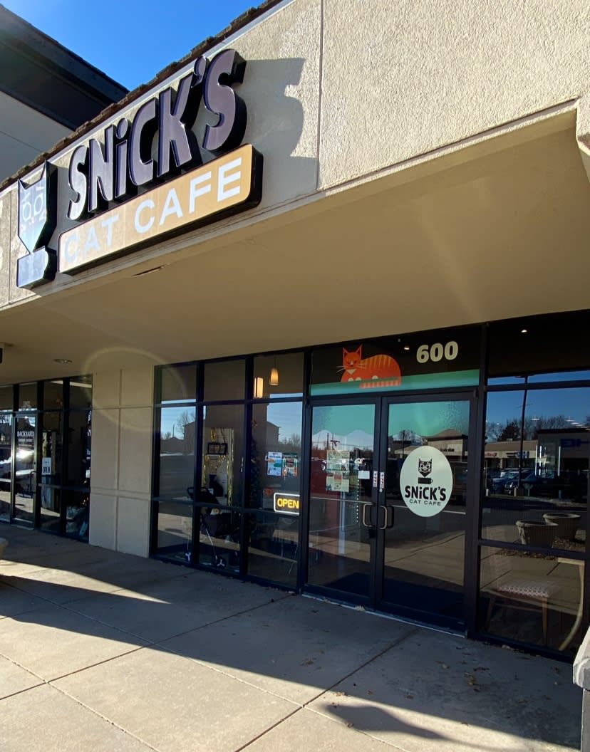Snick's Cat Cafe – photo 5