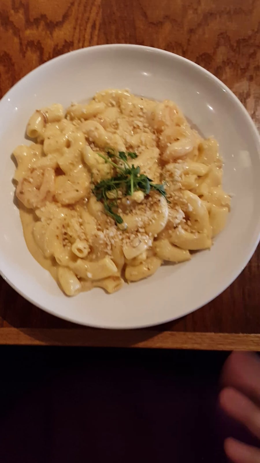 Larkspur | Bistro & Bar – photo 2