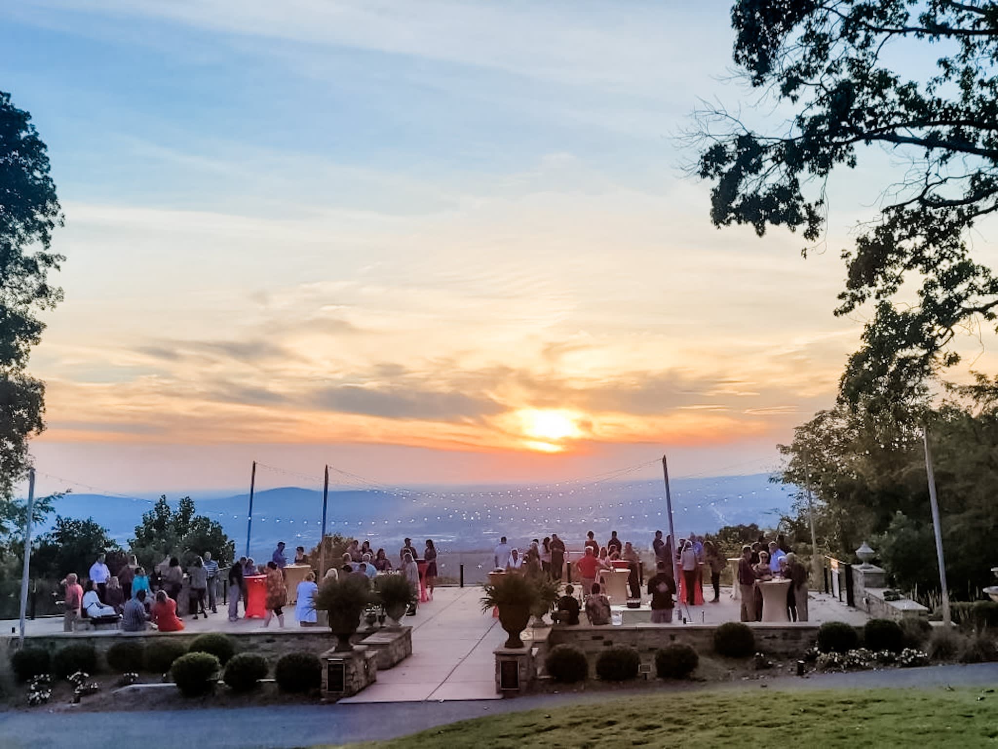 Cocktails at The View