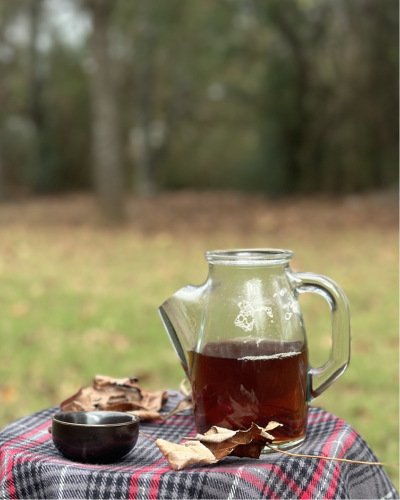 Forest Therapy Class: Forest Bathing