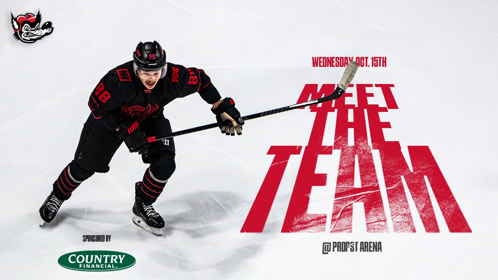 Huntsville Havoc: Meet the Team