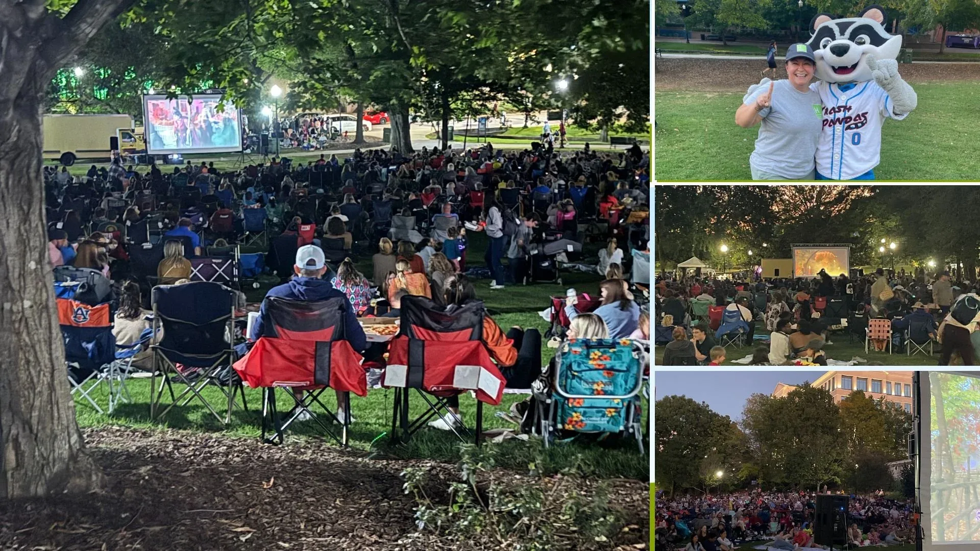 Movies in the Park