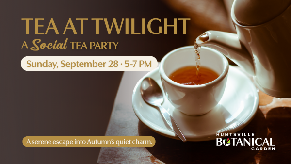 Tea at Twilight