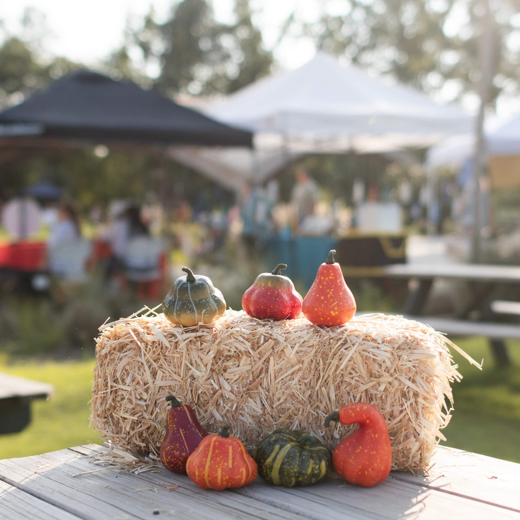 Sip & Stroll Night Market: Harvest Hoedown