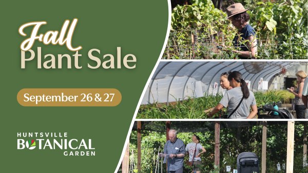 Fall Plant Sale
