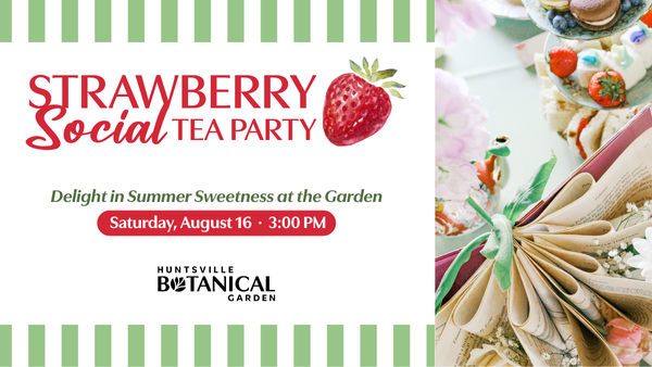 Strawberry Social Tea Party