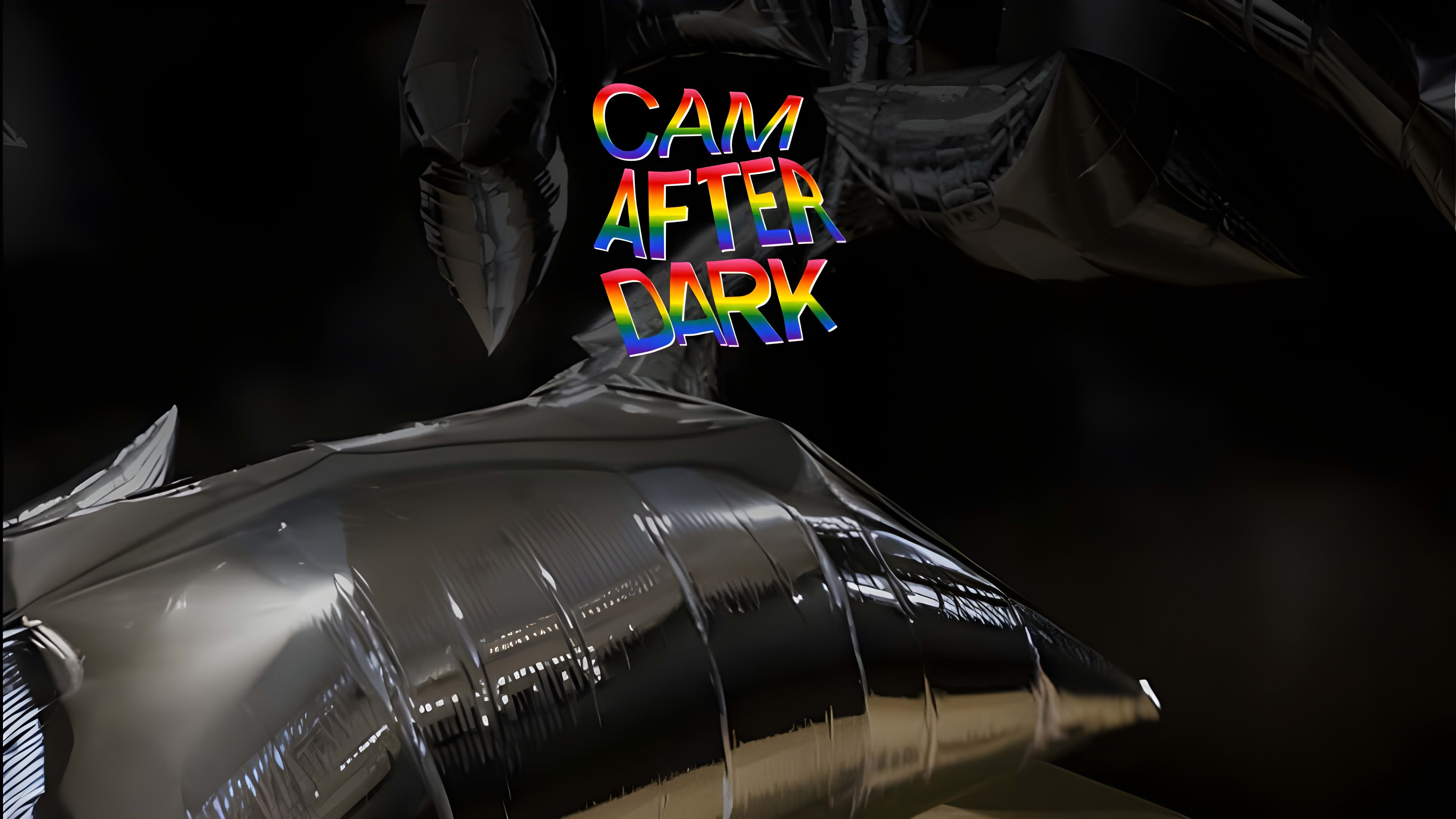 CAM After Dark: Pride Gallery Talk with Ben Billingsley