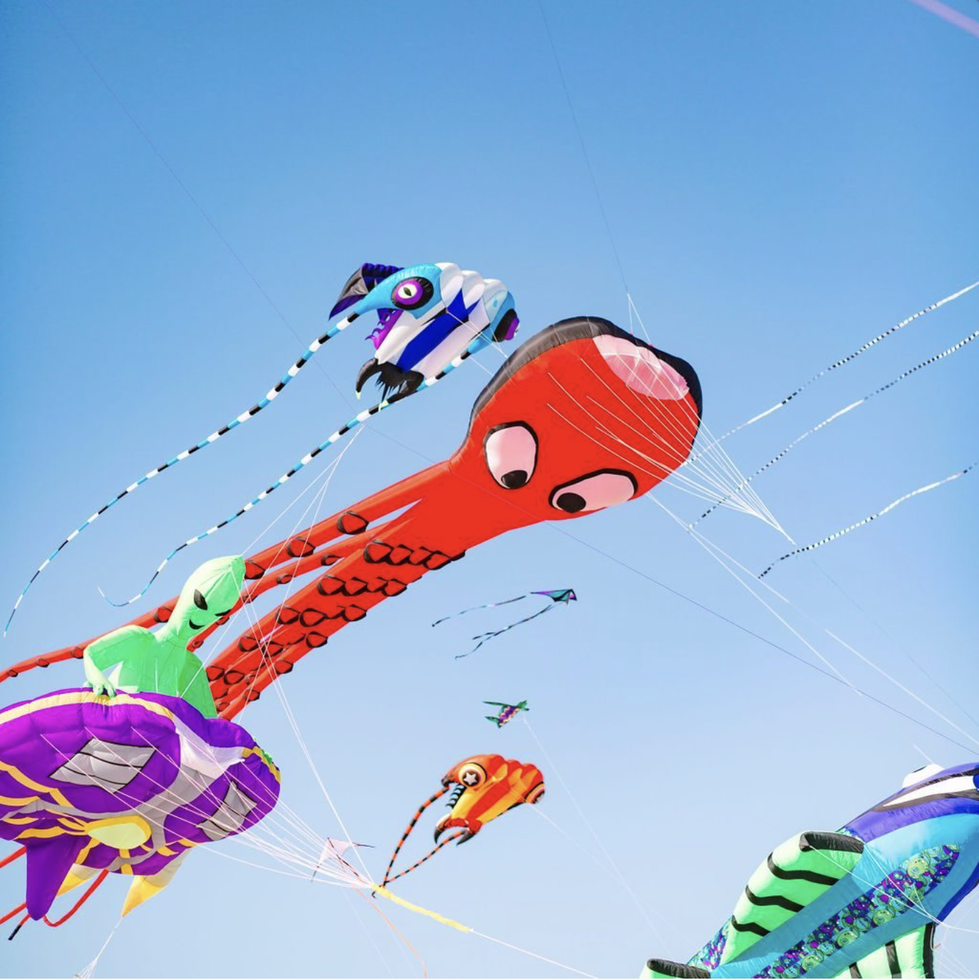 Cape Fear Kite Festival