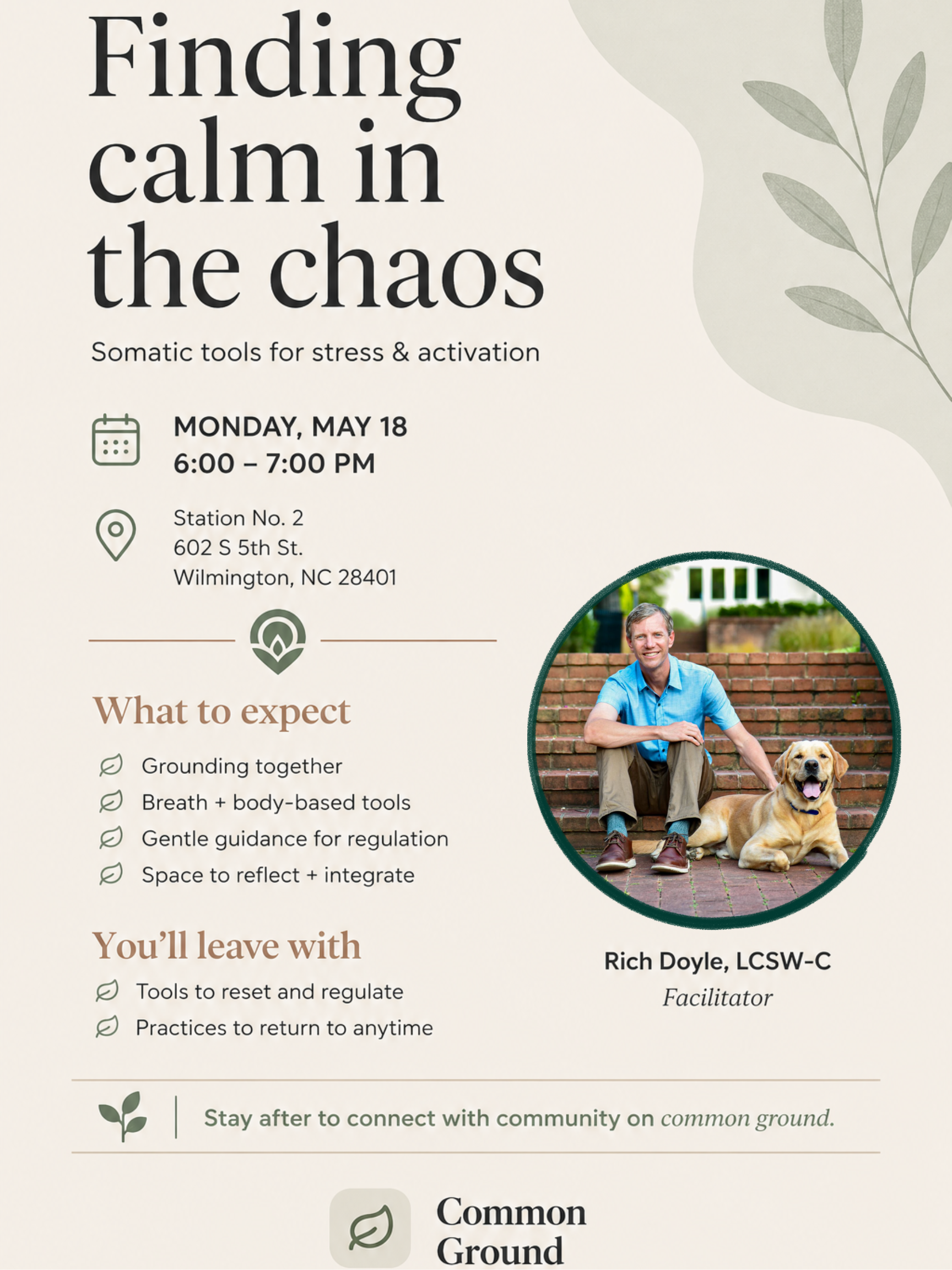 Finding Calm in the Chaos