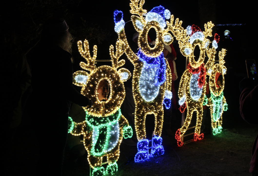 Island of Lights: Lighting at the Lake