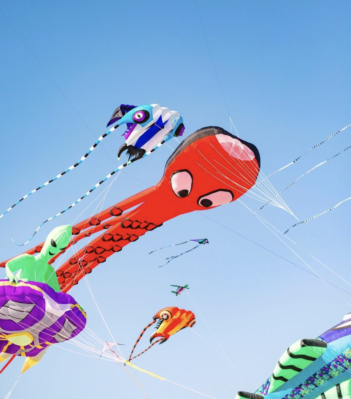 Cape Fear Kite Festival