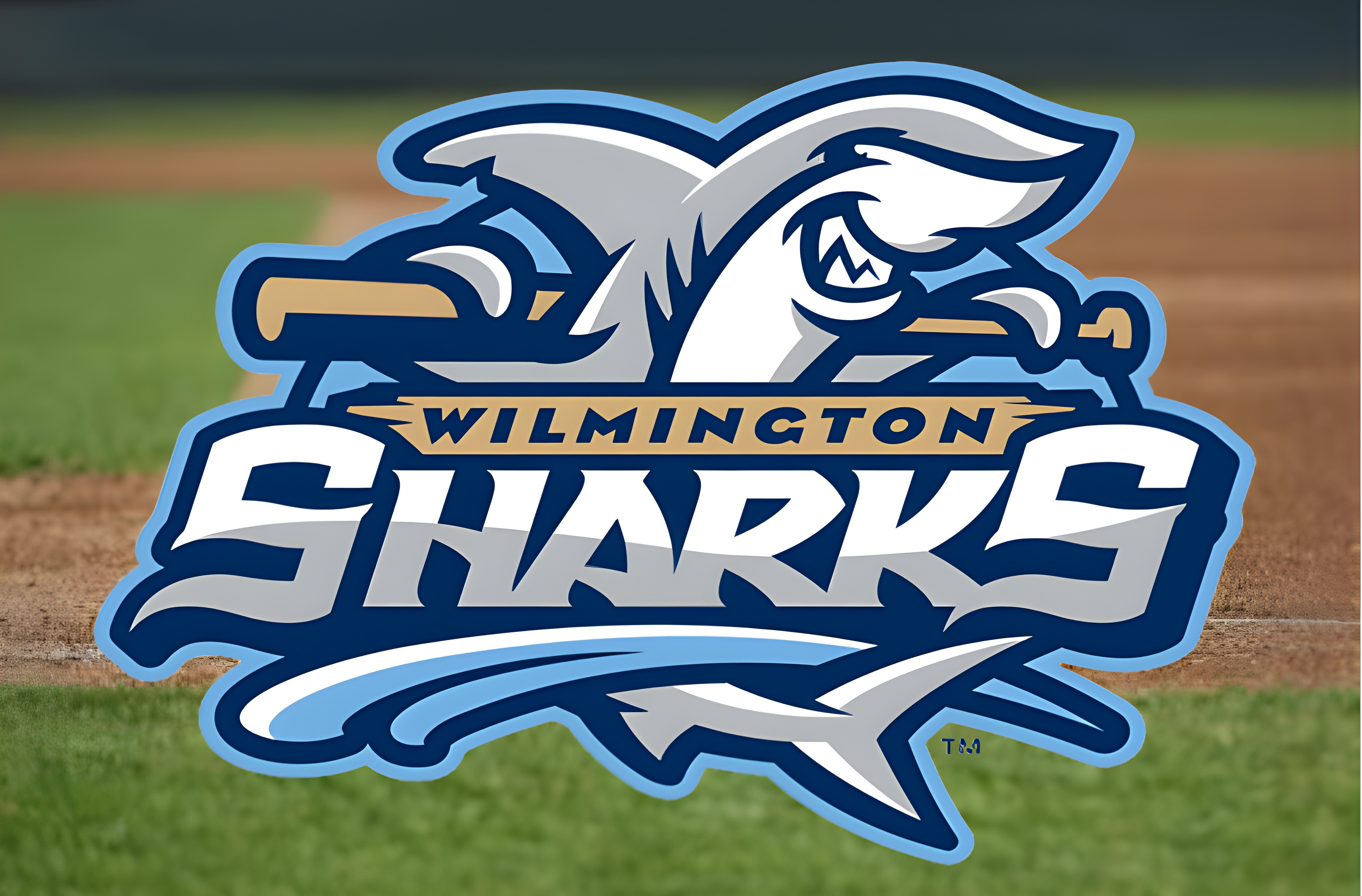 Wilmington Sharks Game