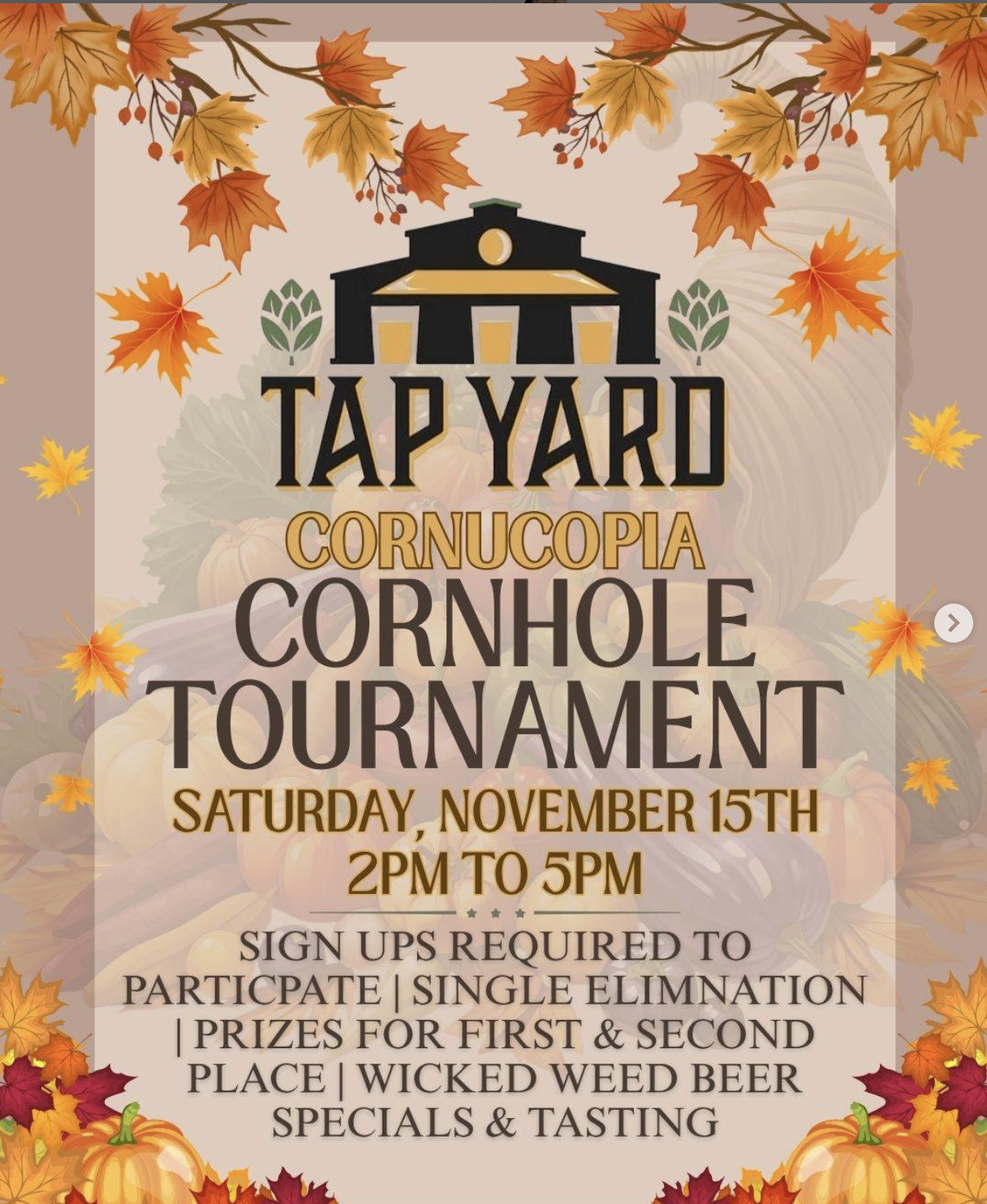 Cornucopia Corn Hole