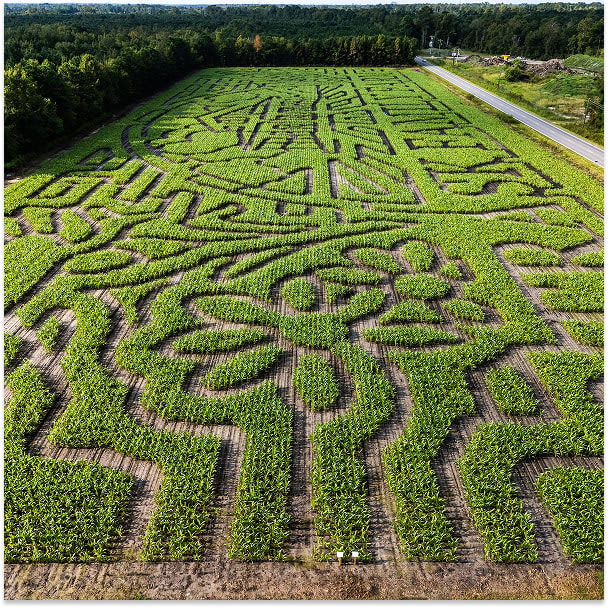 Wilmington's Largest Corn Maze, Pumpkin Patch, and U-Pick Flowers