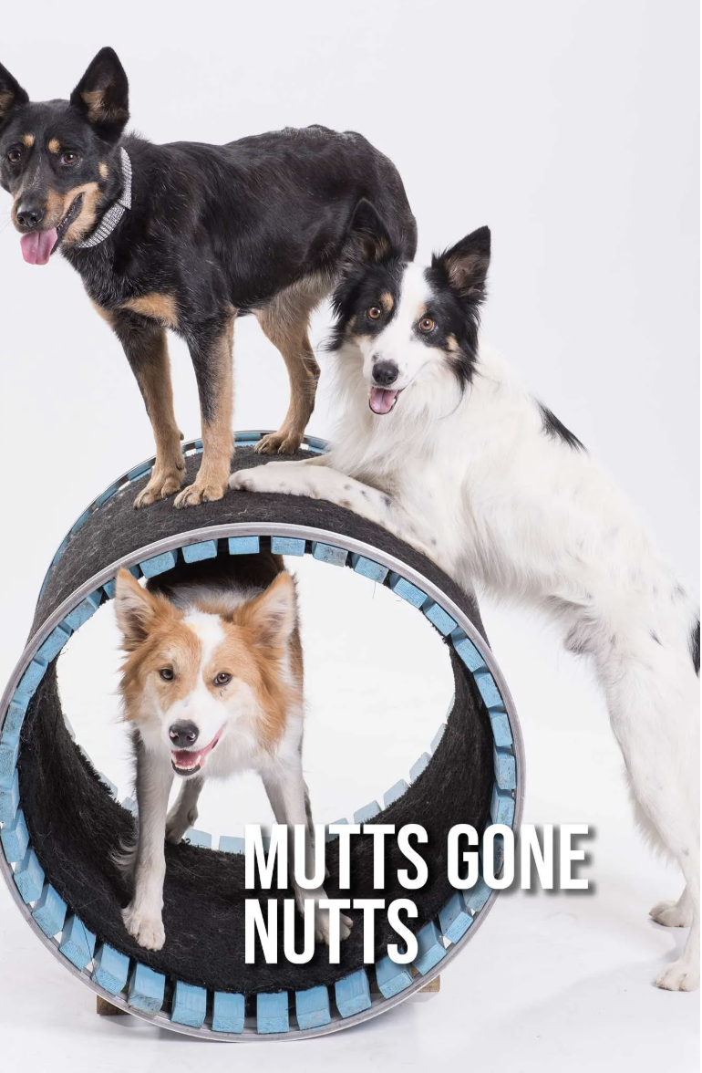 Mutts Gone Nuts