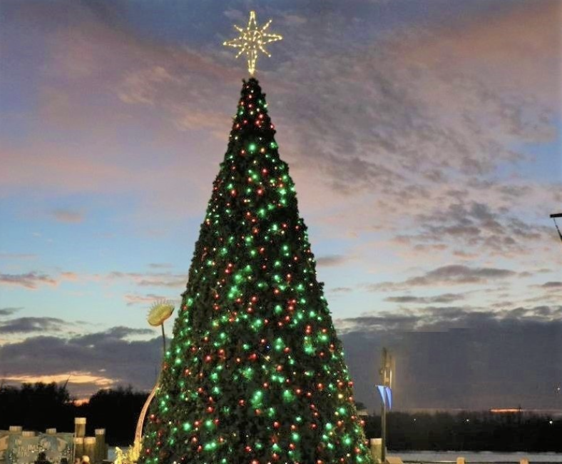 Downtown Wilmington Holiday Tree Lighting