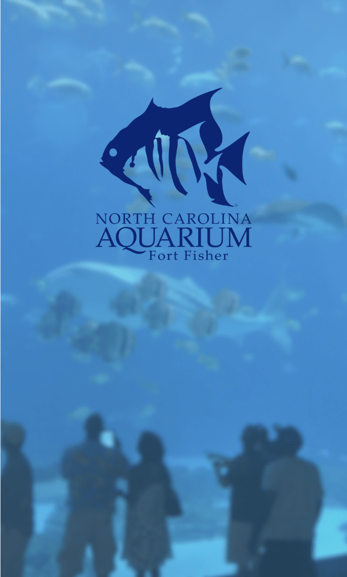 NC Aquarium Fort Fisher 