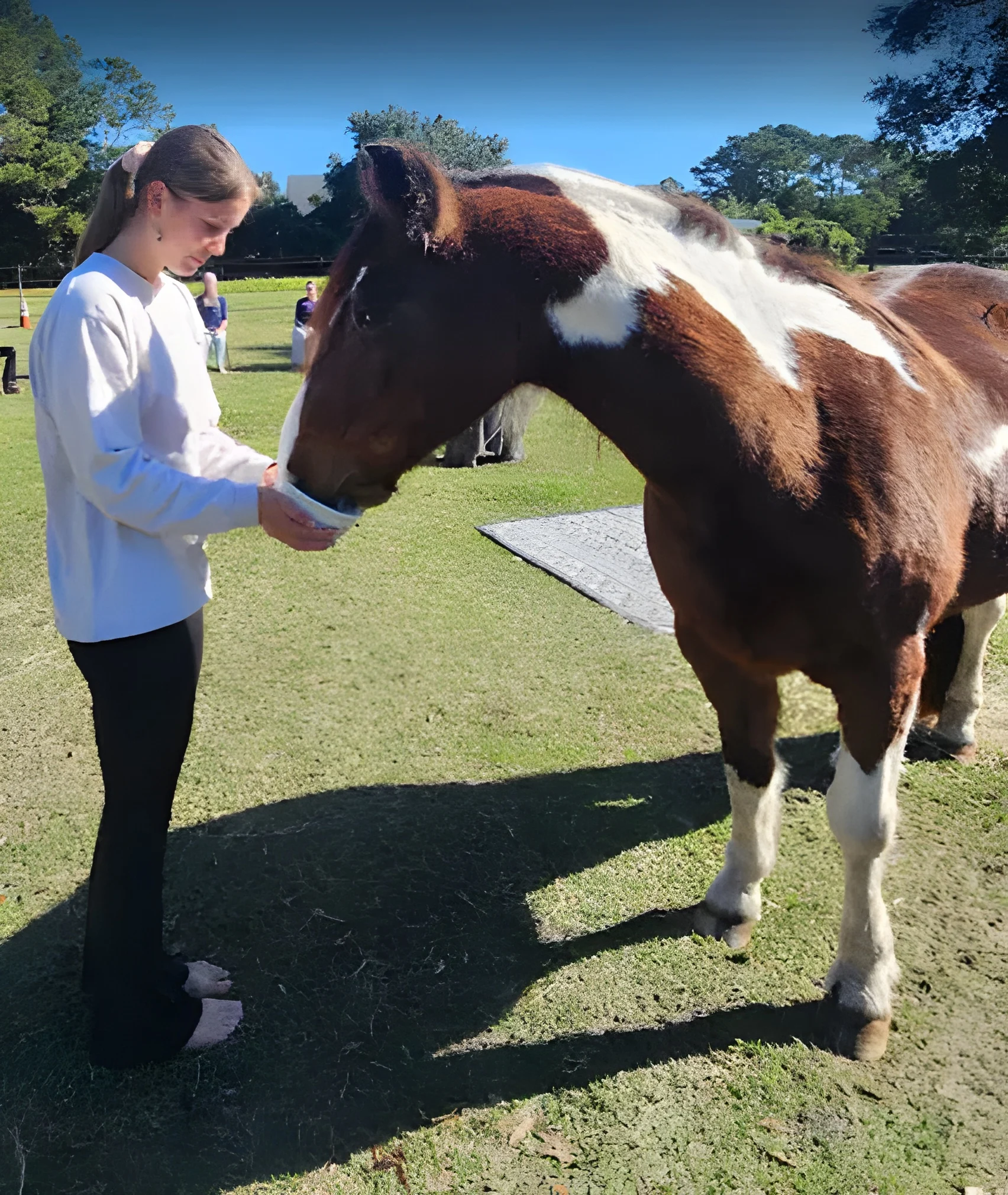 Year of the Horse/Earth Day Mindfulness Movement