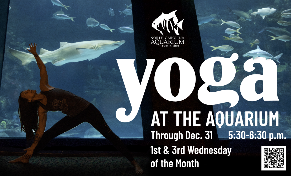 Yoga at the Aquarium