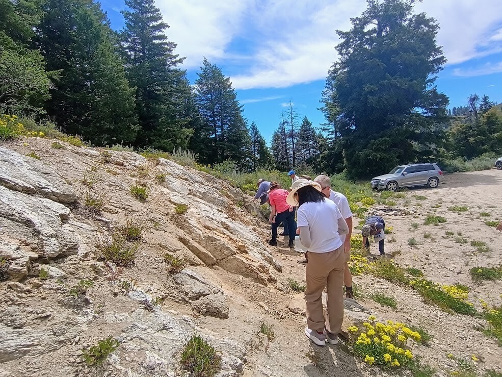Bogus Basin Geologic Field Trip