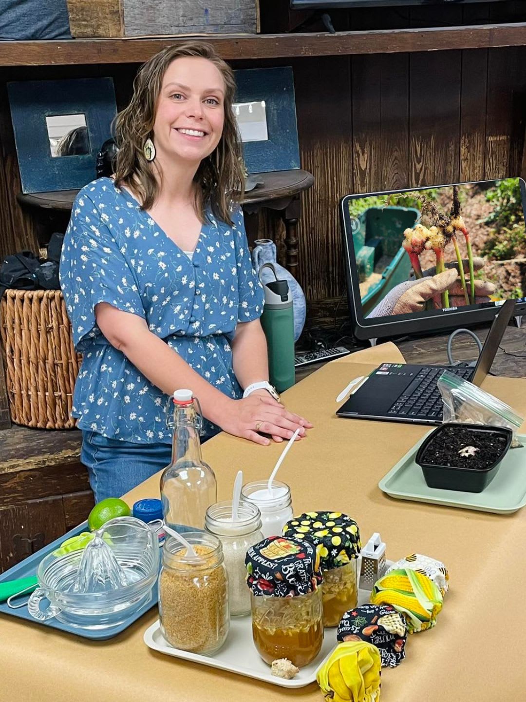 Ginger Bug & Homemade Soda Class