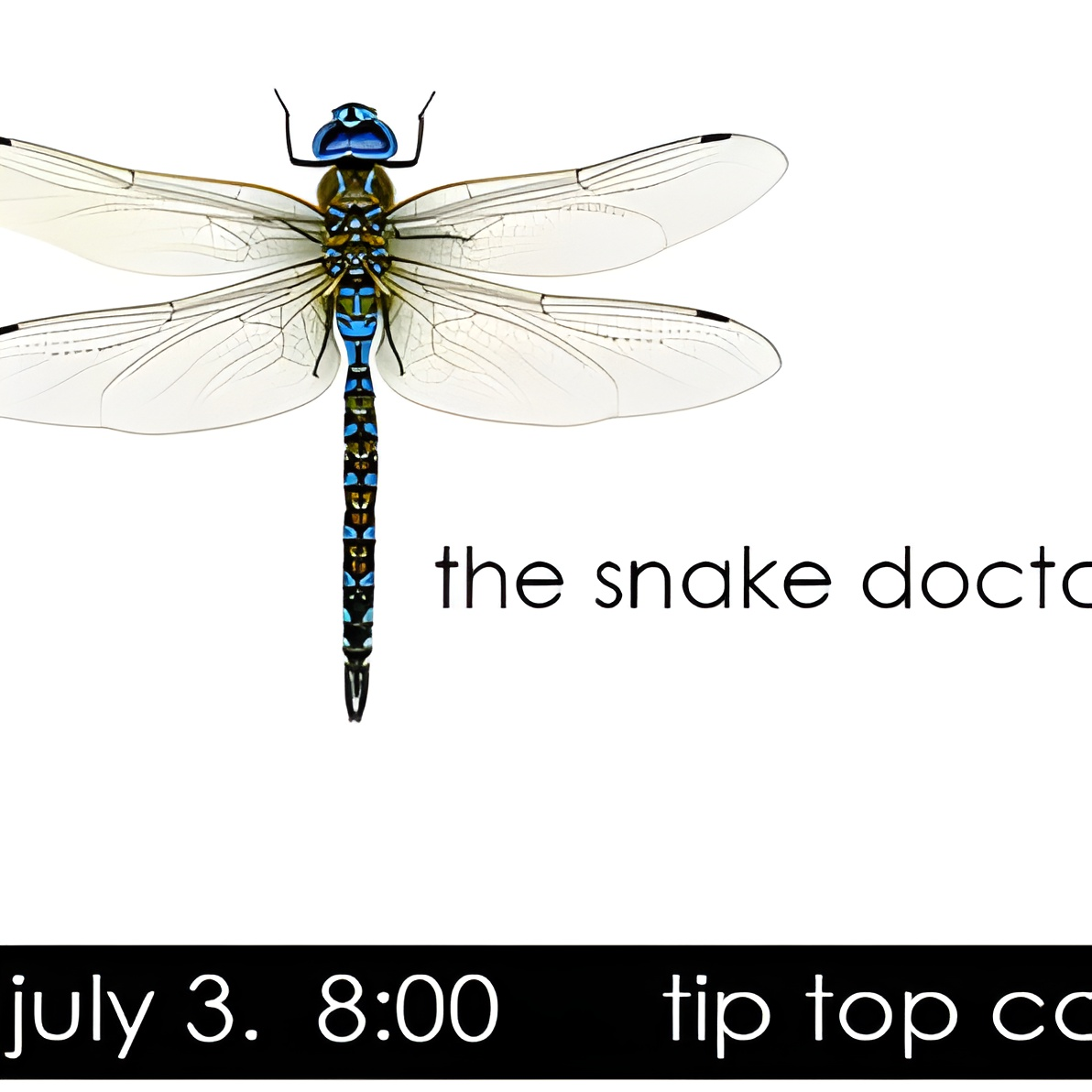The Snake Doctors