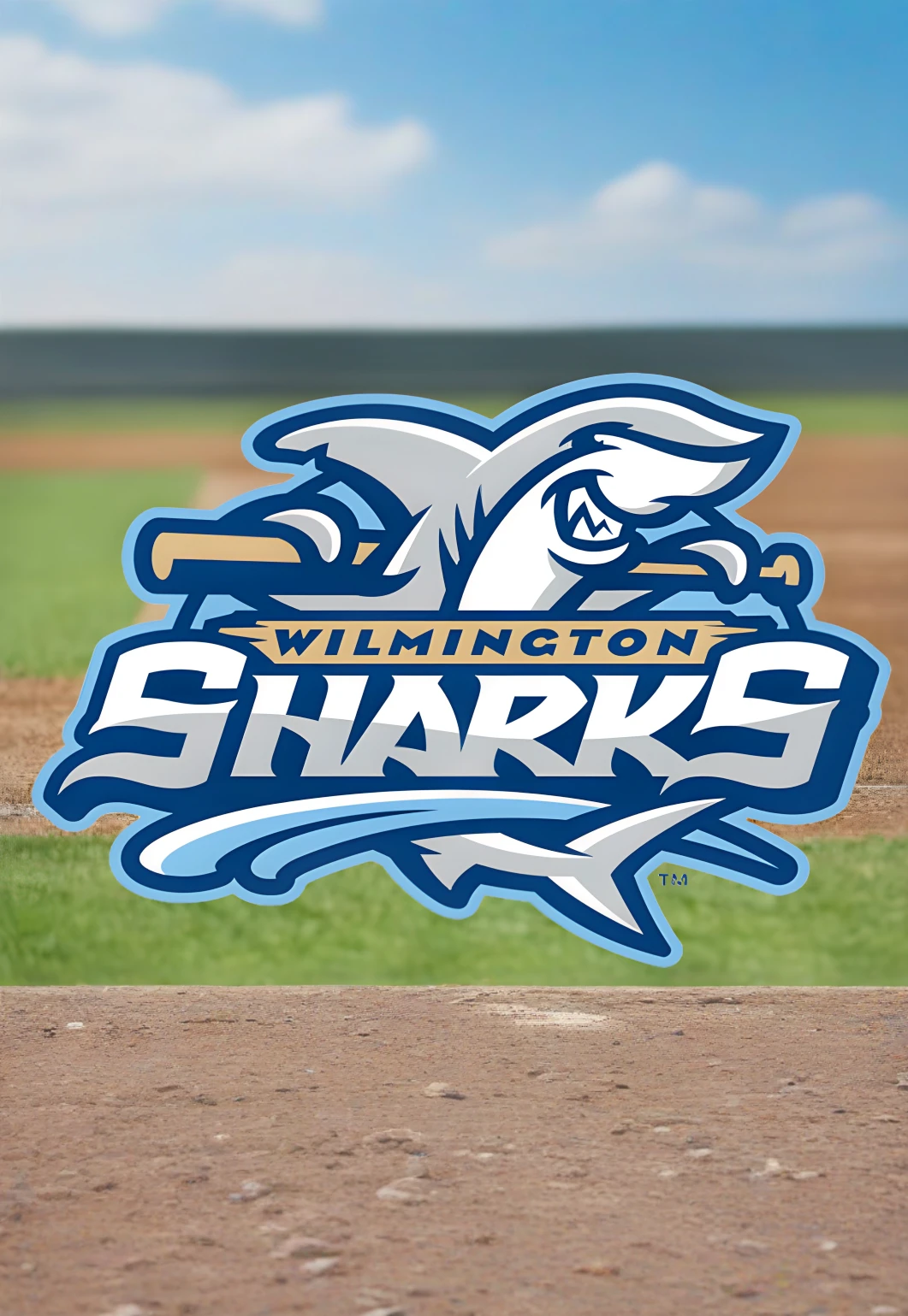 Wilmington Sharks Game