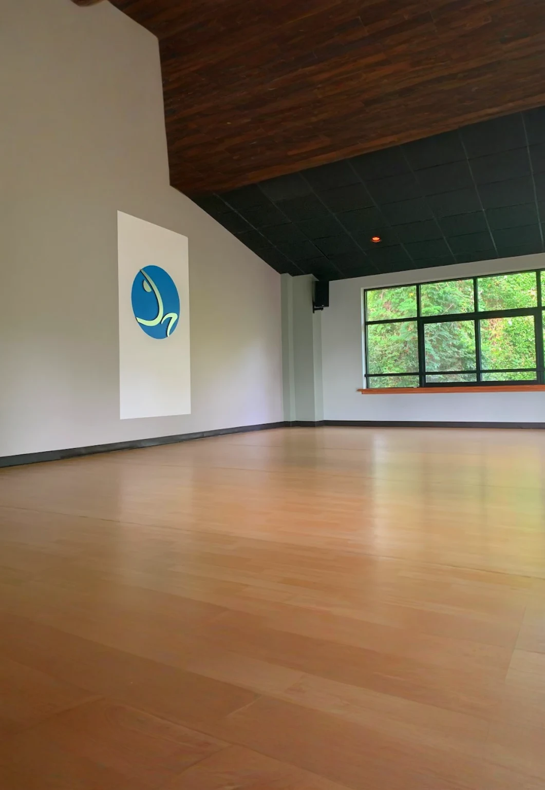 Kids Yoga 4 Week Series