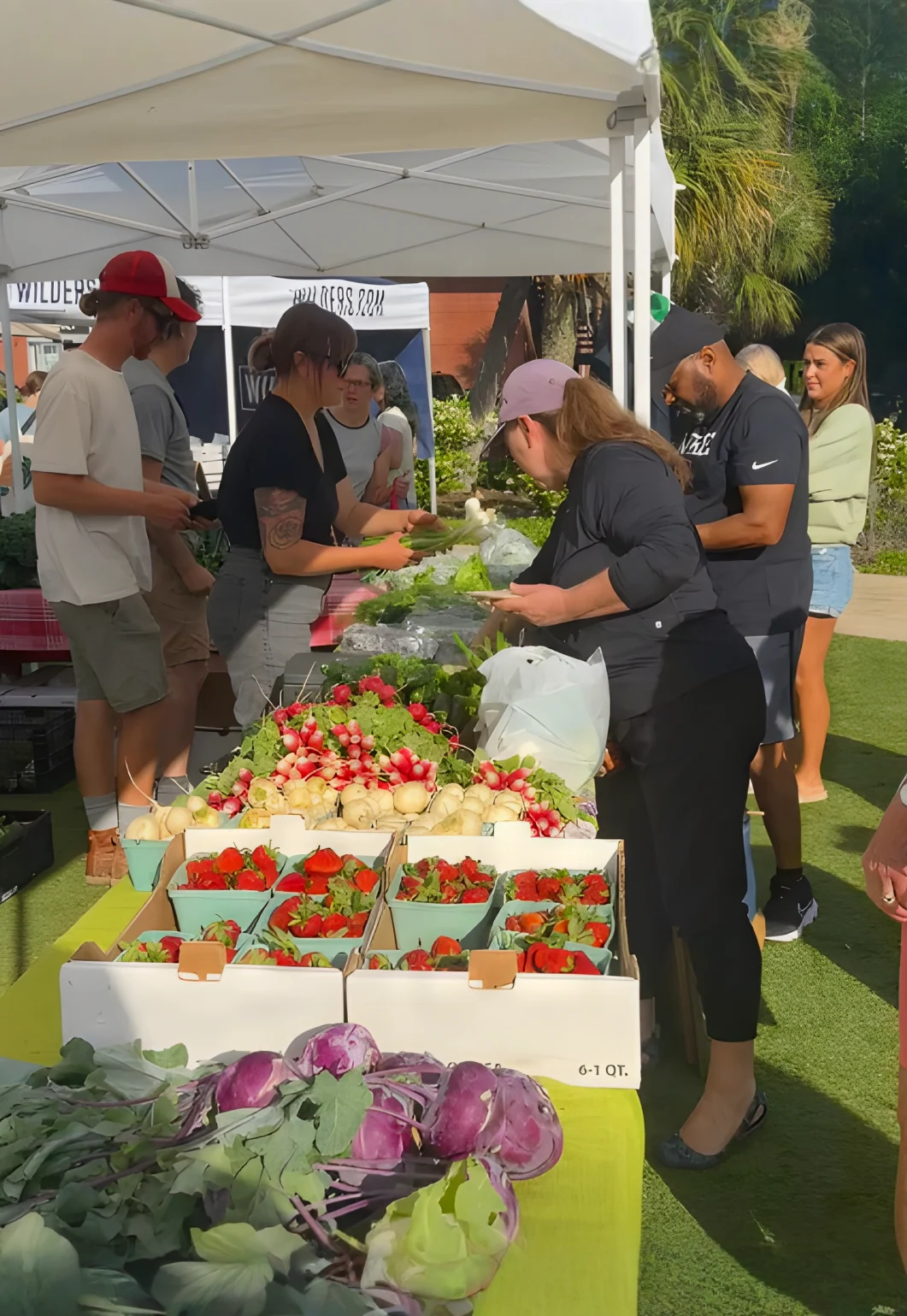 The Wilmington Farmers Market at Tidal Creek