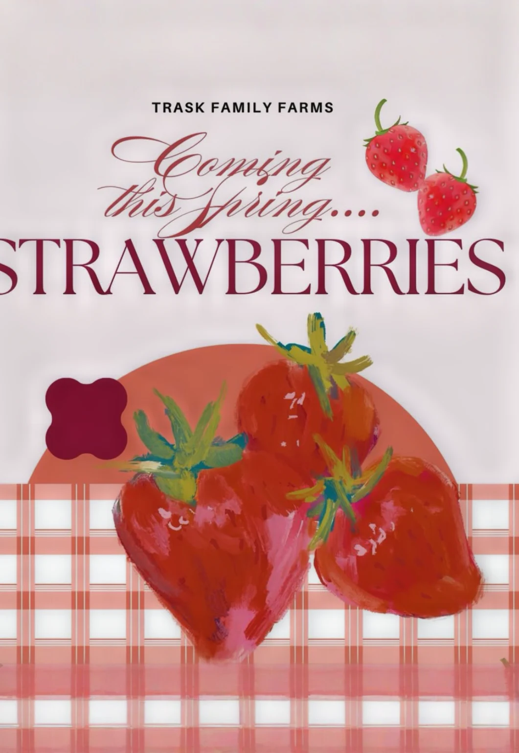 Upick Strawberries & Flowers 