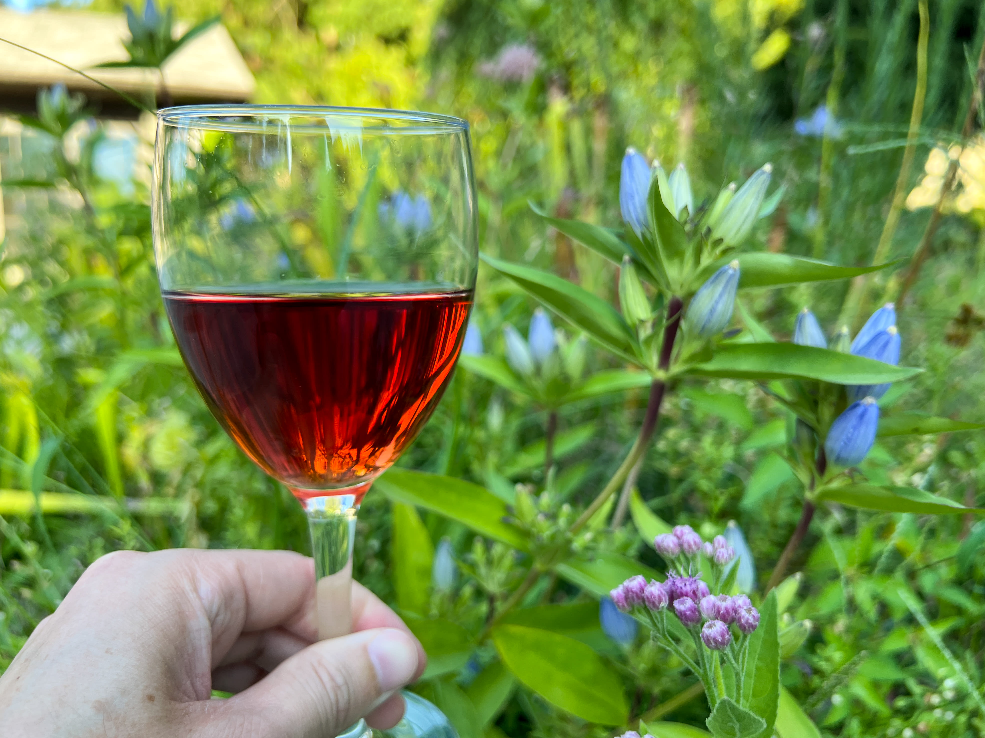 Wine & Wander